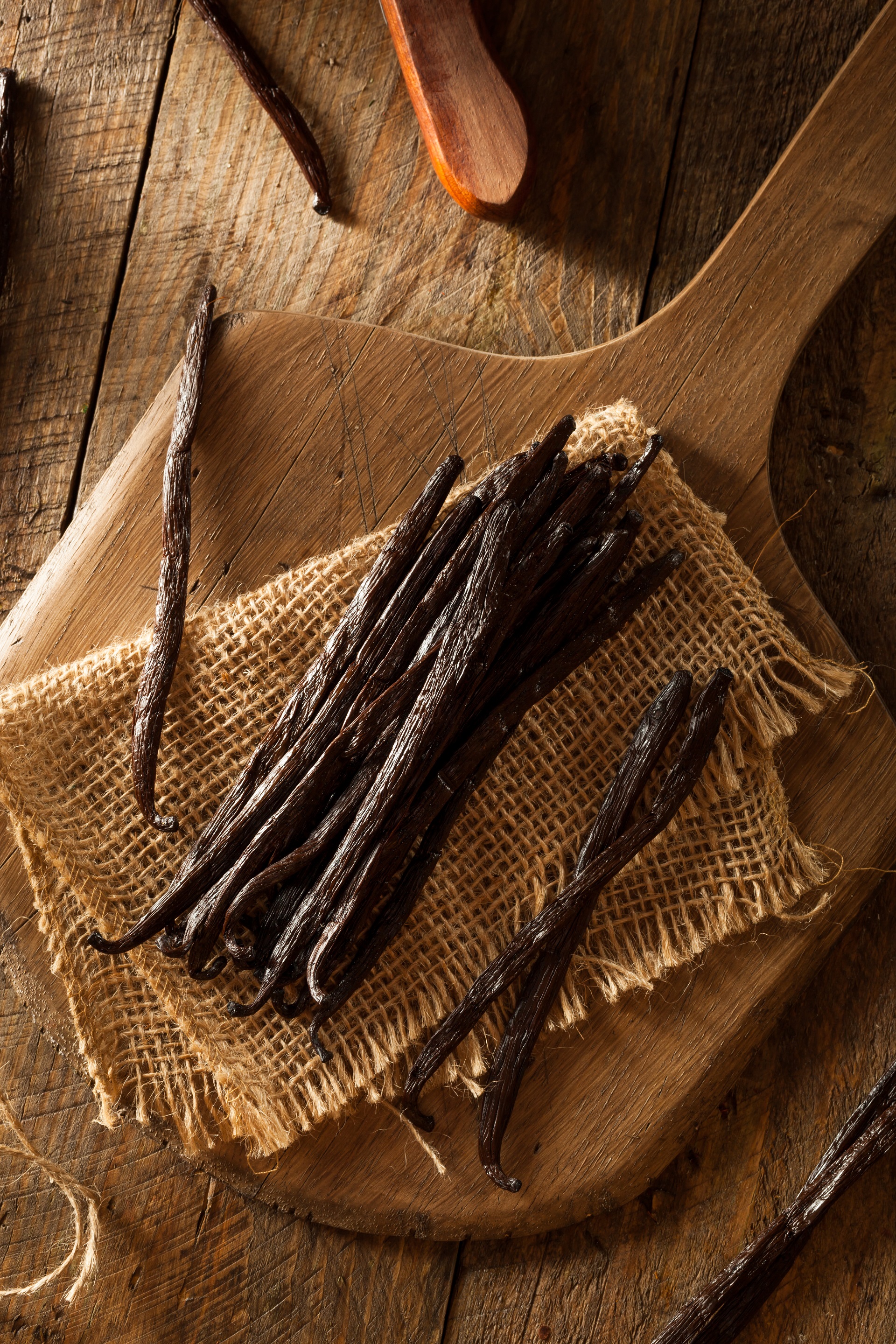 Vanilka jako aromatická kuchyňská přísada