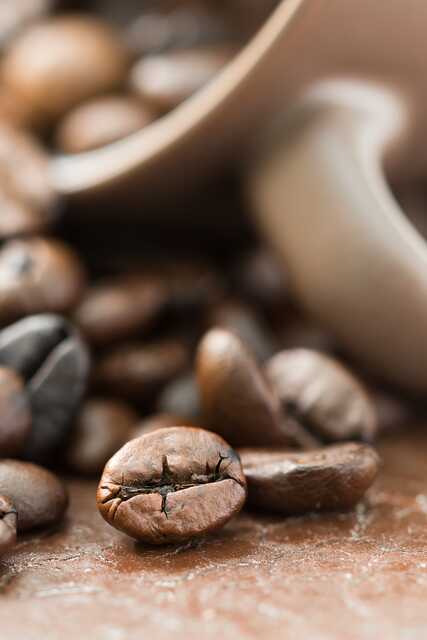 Robusta: kávový druh s výrazným charakterem