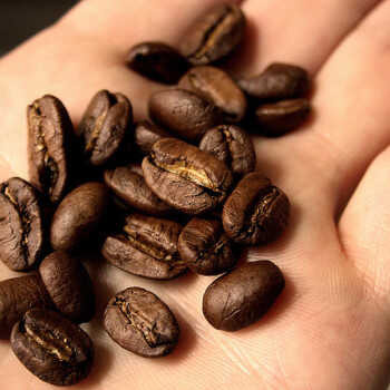 Arabika a robusta: proč se jejich ceny mohou lišit
