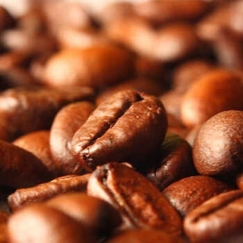 Arabika a robusta: rozdíly v chuti, pěstování a kofeinu
